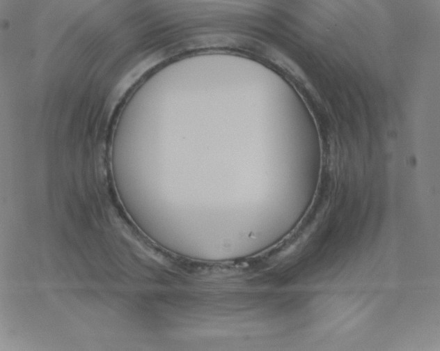 X0000076310786200610271938