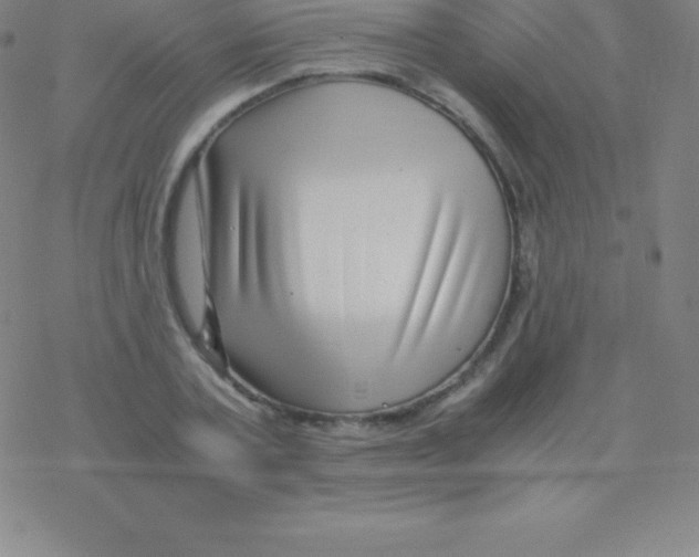 X0000076310787200610271938