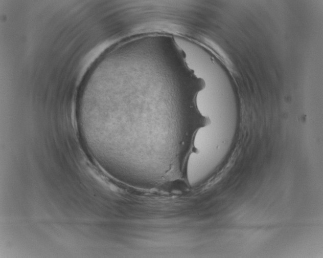 X0000076310788200610271938