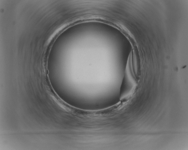 X0000076310789200610271938