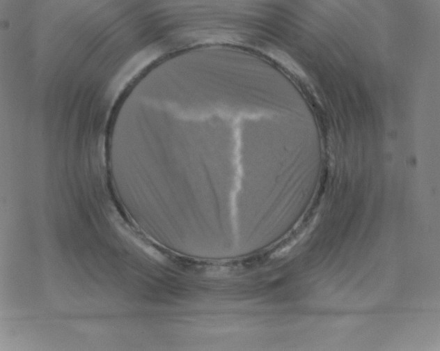 X0000076310790200610271938