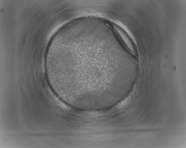 X0000076310791200610271938