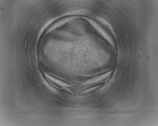 X0000076310792200610271938