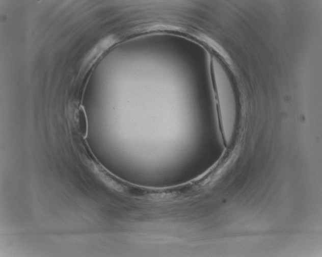 X0000076310793200610271938