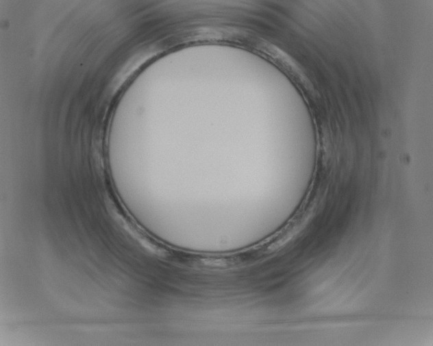 X0000076310794200610271938