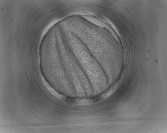 X0000076310795200610271938