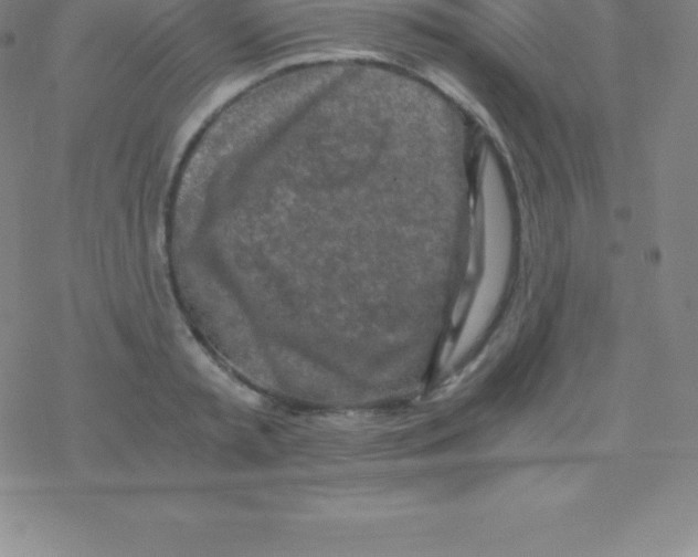 X0000076310797200610271938