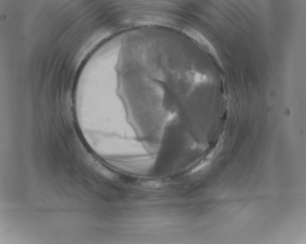 X0000076310798200610271938