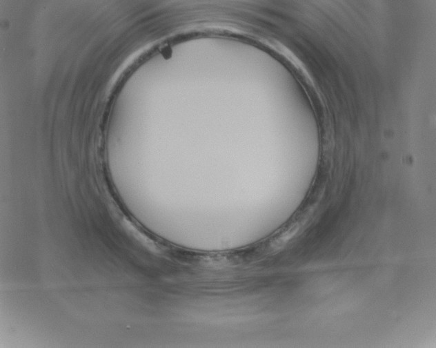 X0000076310799200610271938