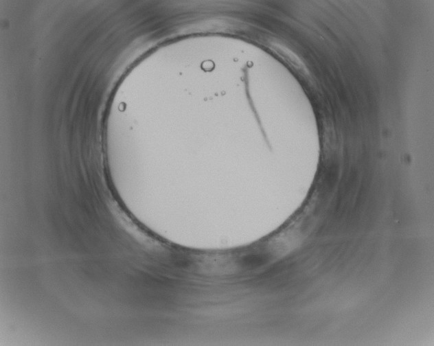 X0000076310800200610271938