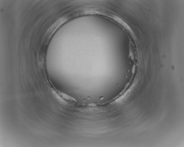 X0000076310801200610271938