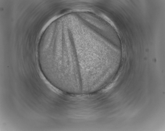 X0000076310803200610271938