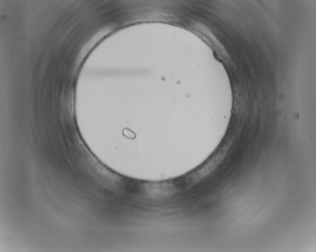 X0000076310804200610271938