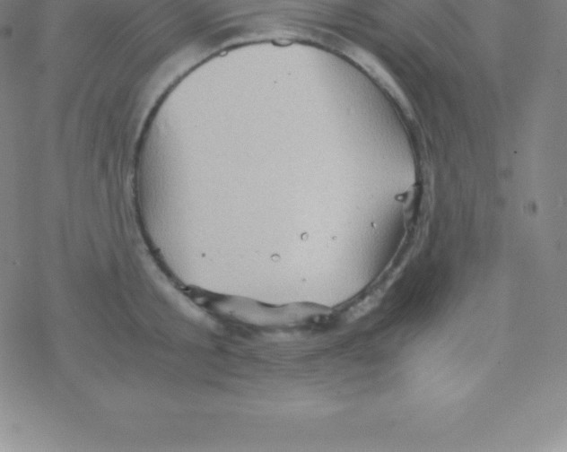 X0000076310805200610271938