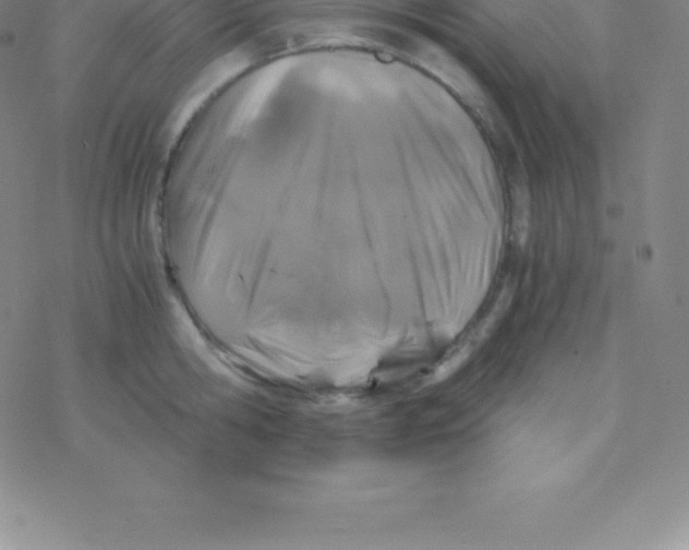 X0000076310806200610271938