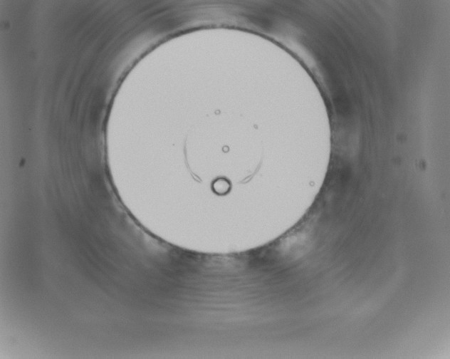 X0000076310807200610271938