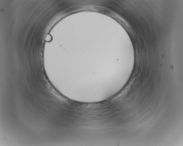 X0000076310808200610271938