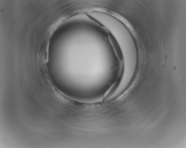 X0000076310809200610271937