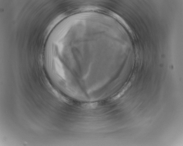 X0000076310810200610271937