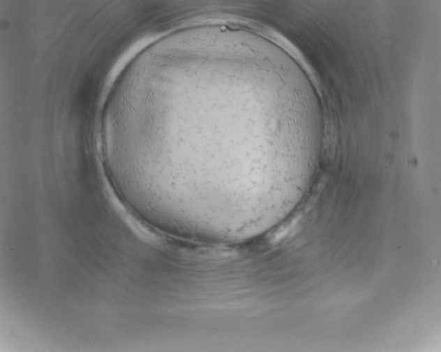 X0000076310811200610271937