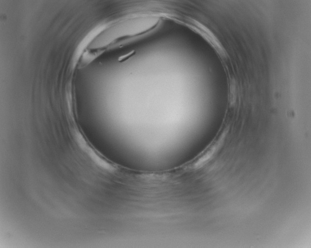 X0000076310812200610271937