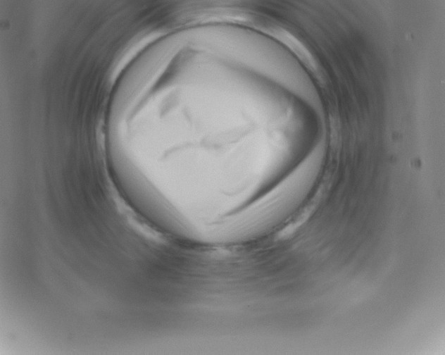 X0000076310814200610271937