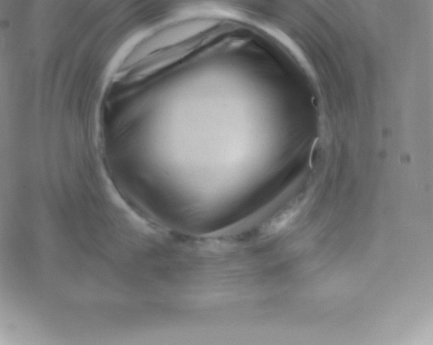 X0000076310815200610271937