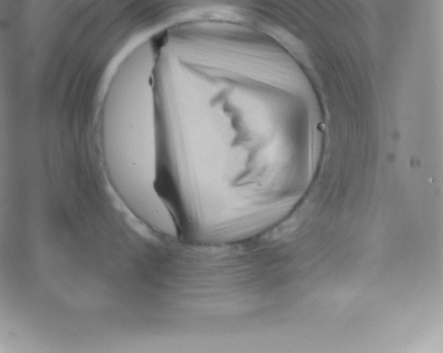 X0000076310816200610271937