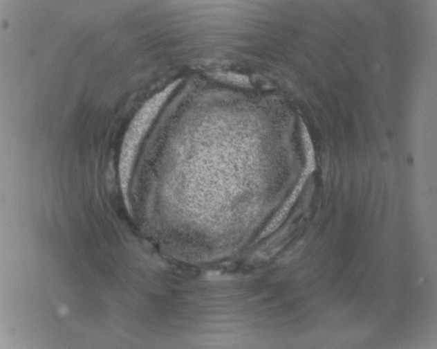 X0000076310818200610271937