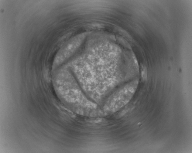 X0000076310819200610271937