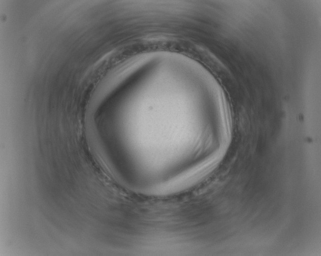 X0000076310821200610271937