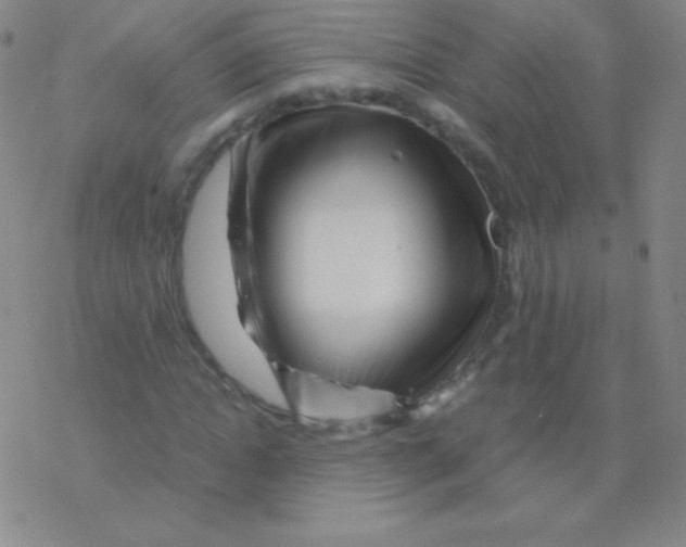 X0000076310822200610271937