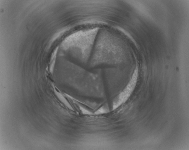 X0000076310823200610271937