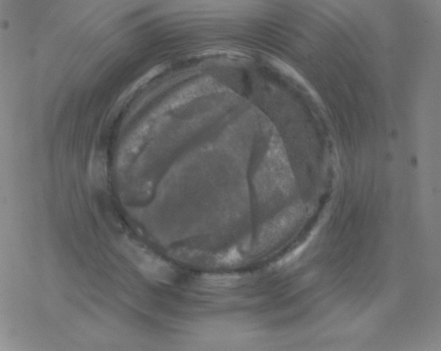 X0000076310825200610271937