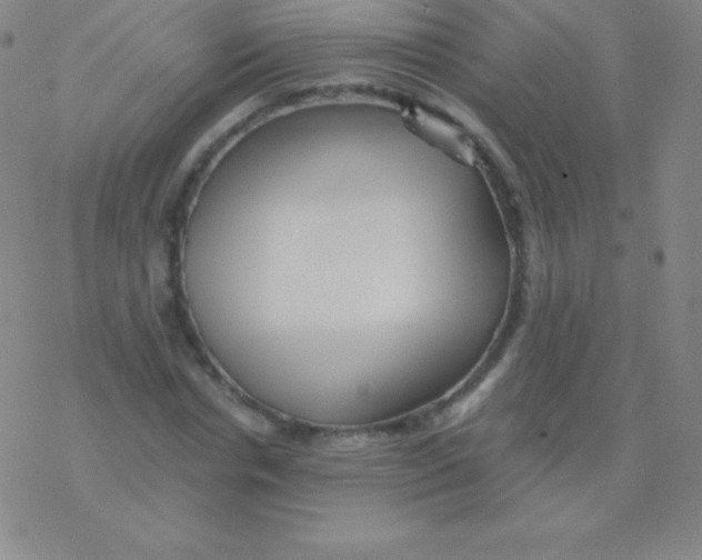 X0000076310826200610271937