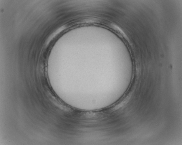 X0000076310827200610271937