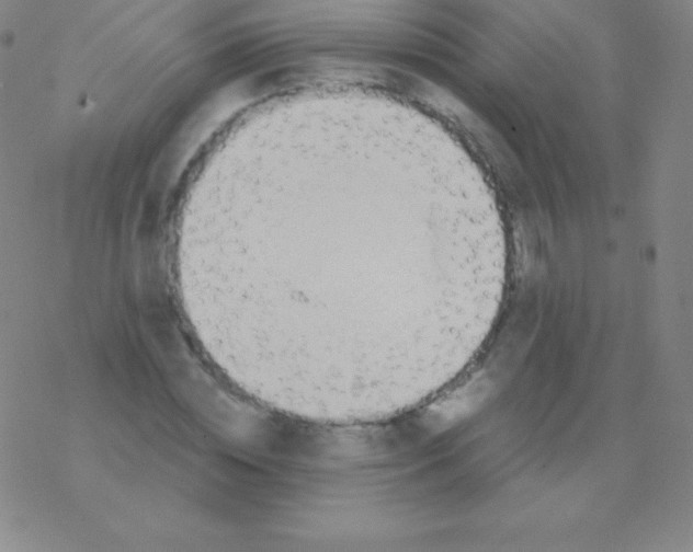 X0000076310828200610271937