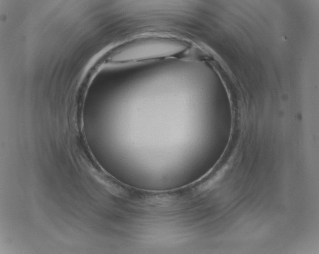 X0000076310830200610271937