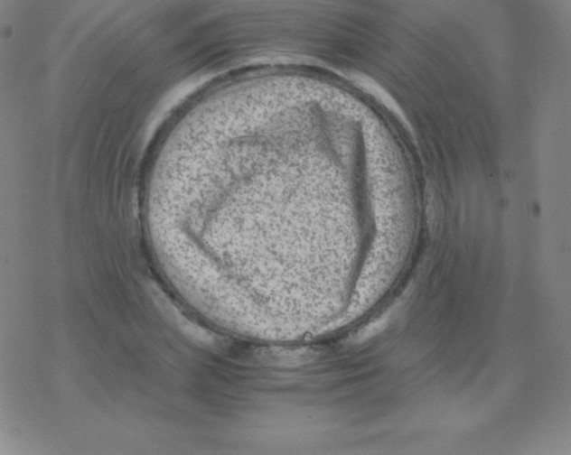 X0000076310831200610271937