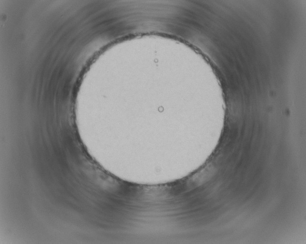 X0000076310832200610271937