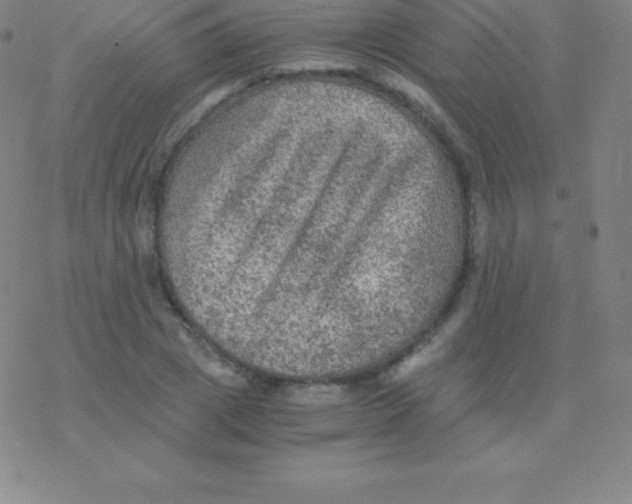 X0000076310833200610271937