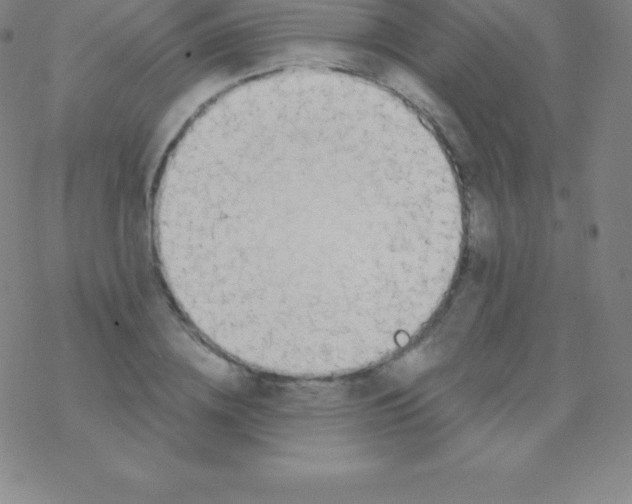 X0000076310836200610271937