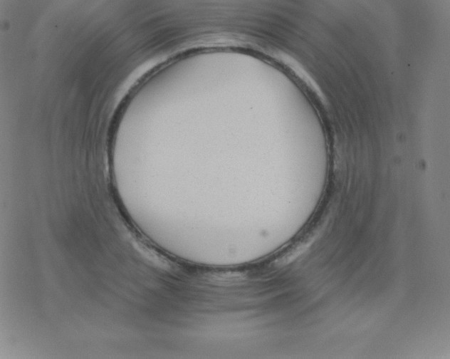 X0000076310837200610271937