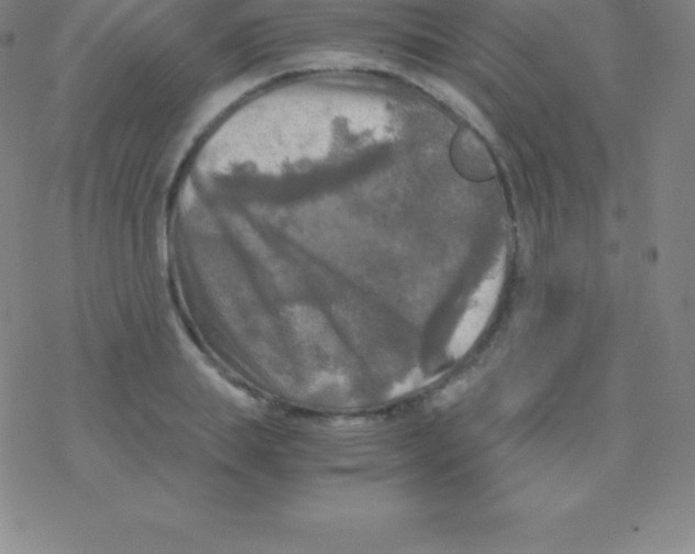 X0000076310839200610271937