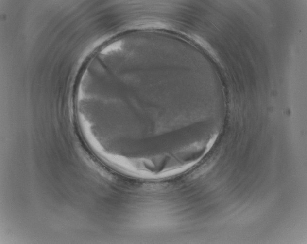 X0000076310840200610271937