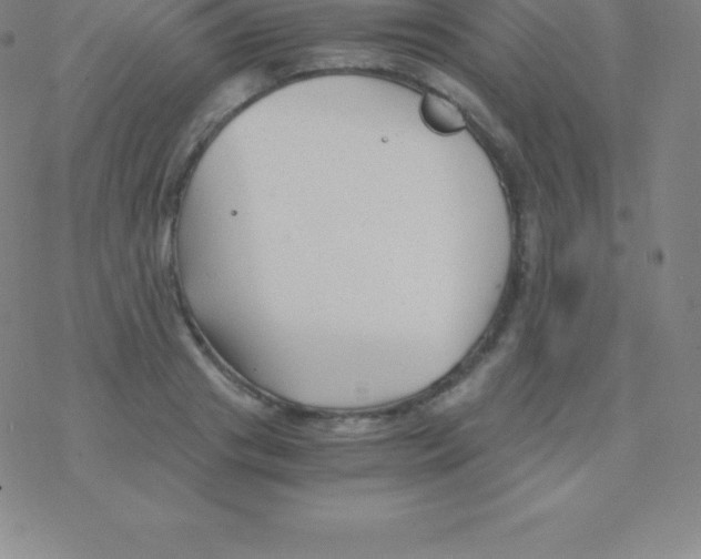 X0000076310841200610271937