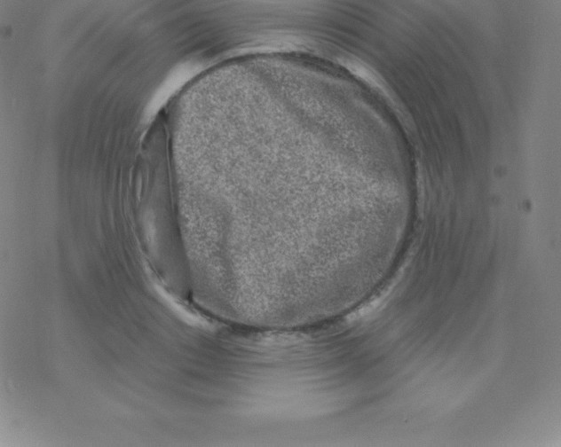 X0000076310842200610271937