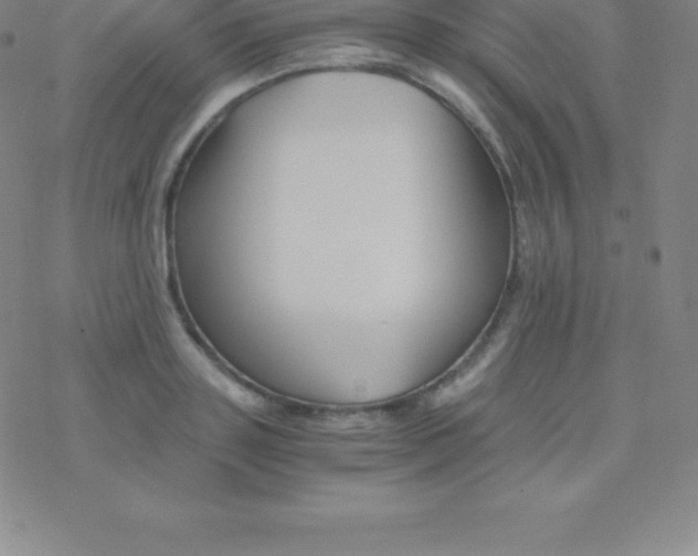 X0000076310843200610271937