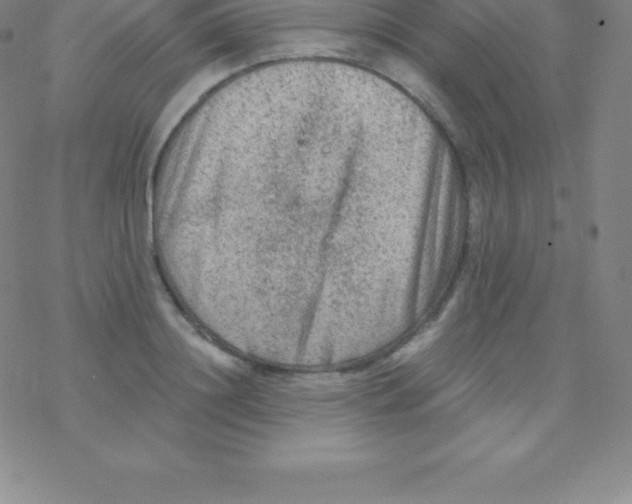 X0000076310844200610271937