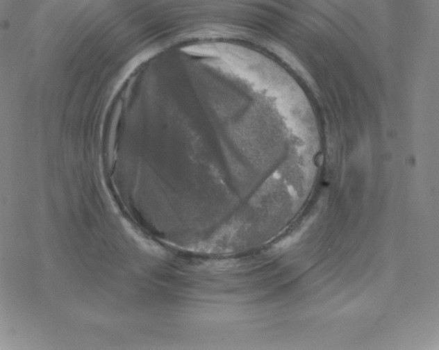 X0000076310845200610271937